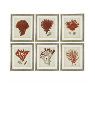 Conjunto de 6 marcos antiguos de corales rojos Eichholtz