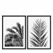 Impresiones Palm Leaves (set de 2)