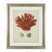 Conjunto de 6 marcos antiguos de corales rojos Eichholtz