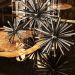 Objetos decorativos Meteor de Eichholtz con acabado de níquel pulido (set de 3)