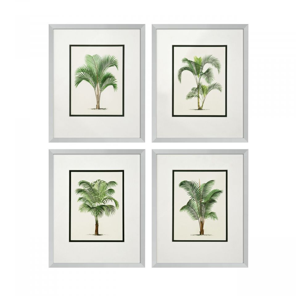 Impresiones artísticas Palms de Eichholtz