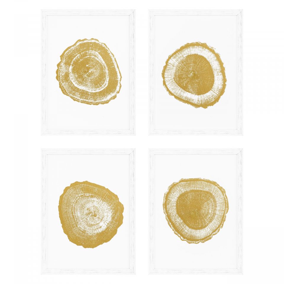 Cuatro impresiones artísticas: Gold Foil Tree Rings