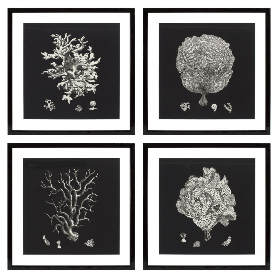 Impresiones artísticas Black & Tan Corals (set de 4)