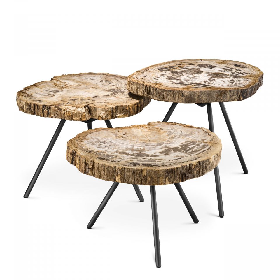 Juego de 3 mesas de centro de madera fosilizada de intervalo claro De Soto